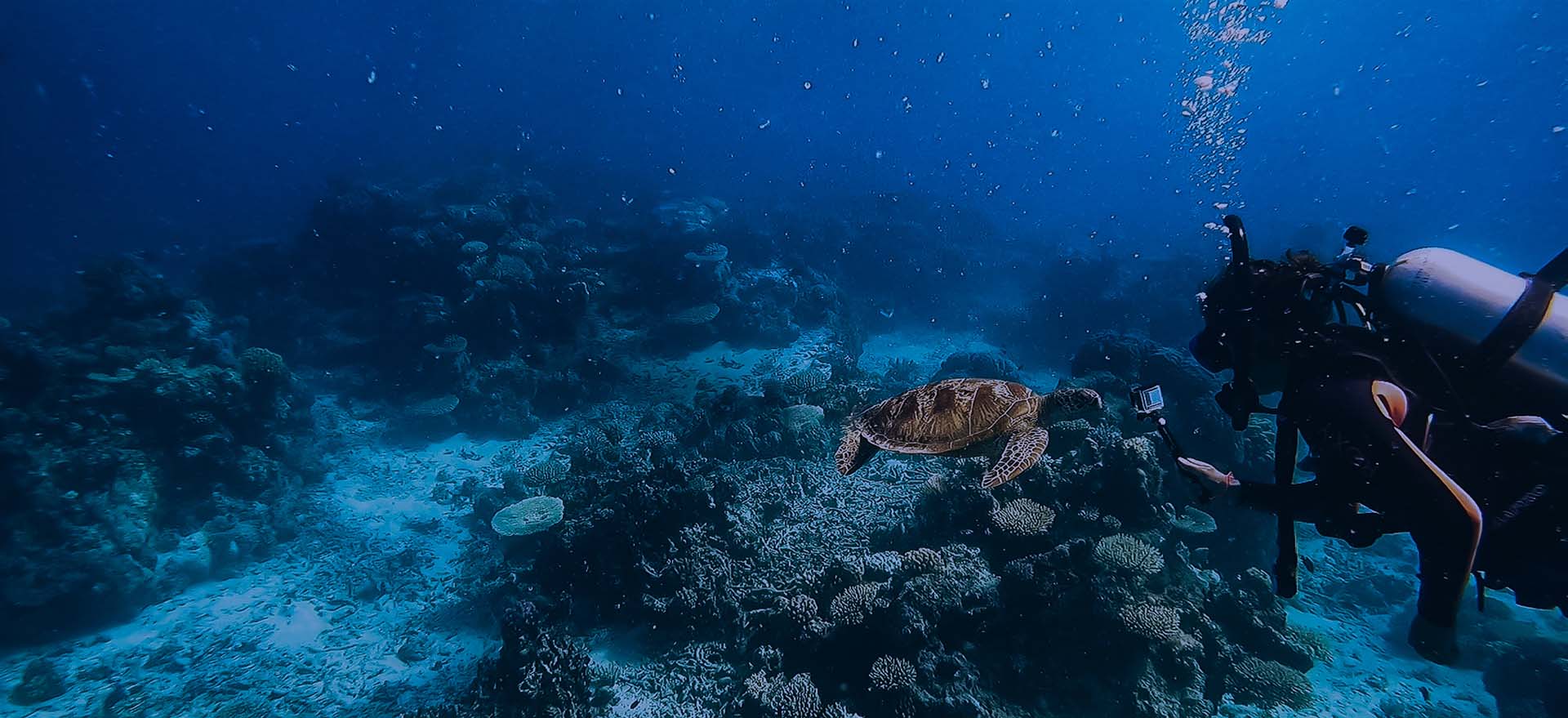 Partenaires de Sealens®